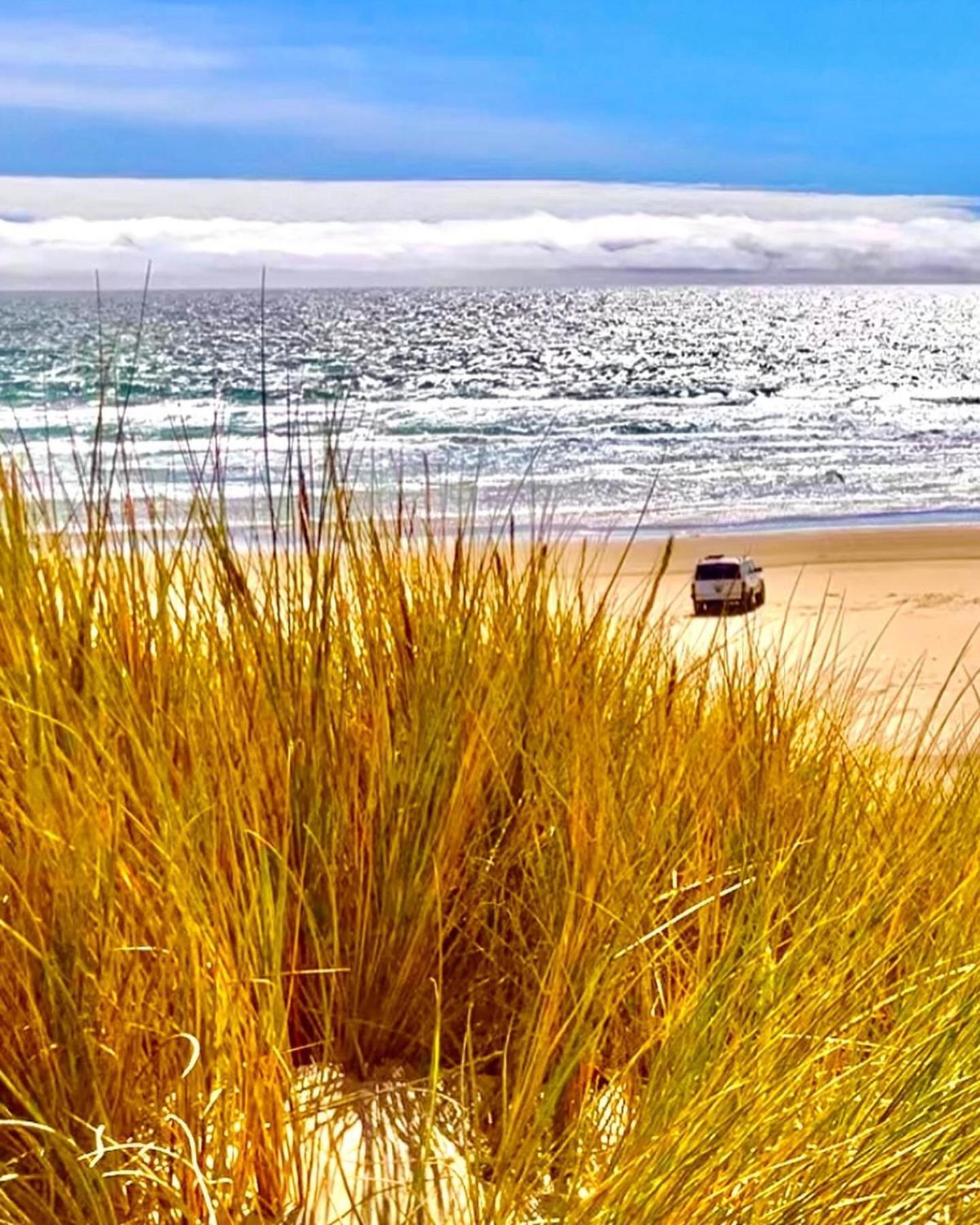 Tropical Retreat Close To Beach Grover Beach Esterno foto